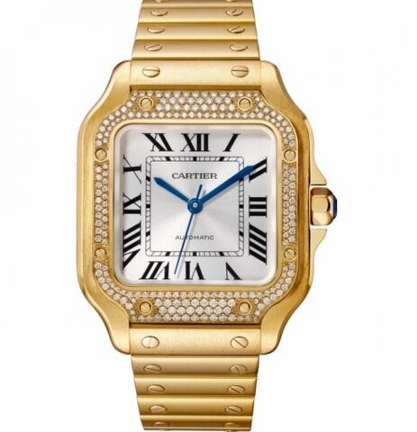 Copy Cartier Santos Automatic Self Wind WJSA0010 Unisex Watch - Click Image to Close